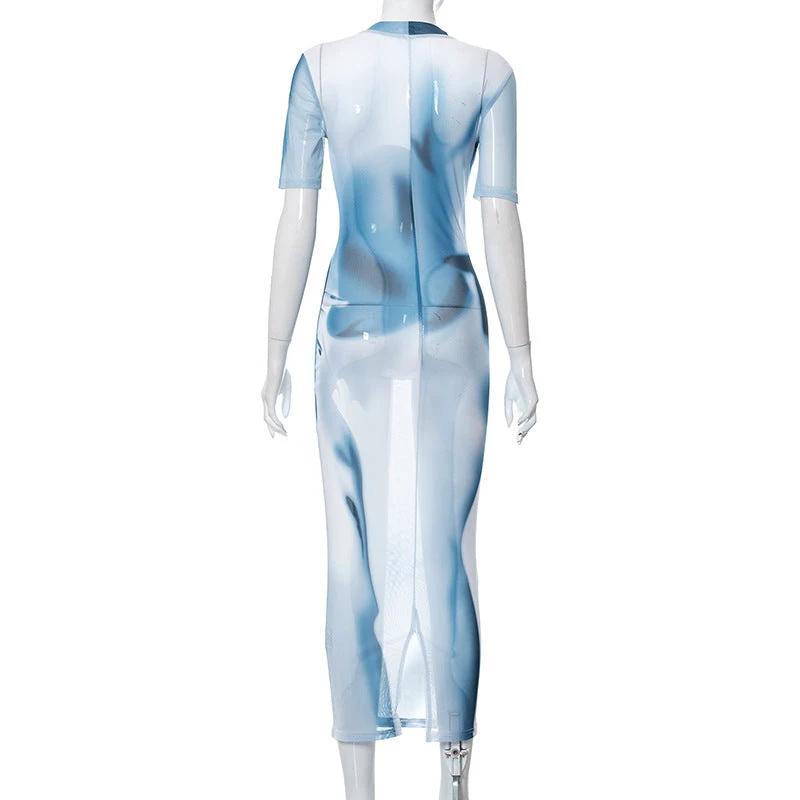 Printed Long Mesh Dress