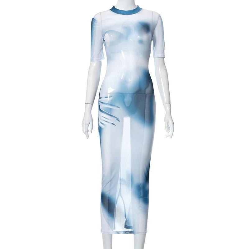 Printed Long Mesh Dress